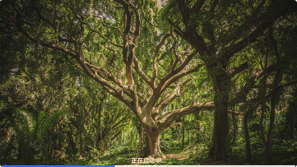 image-20230525235910237