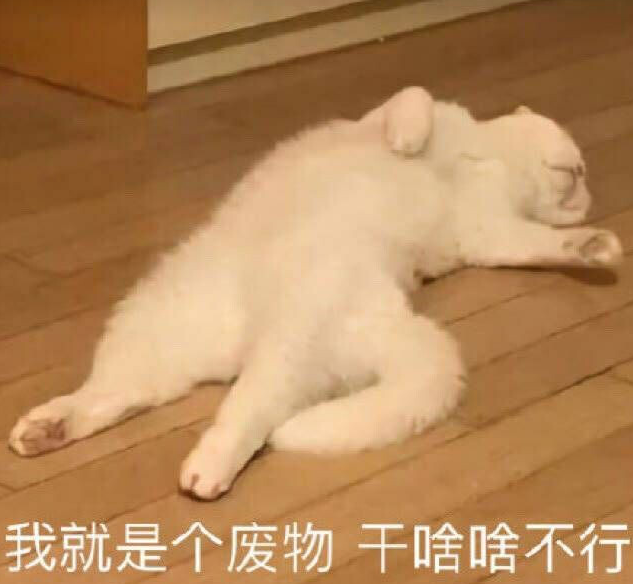 image-20230726175526950