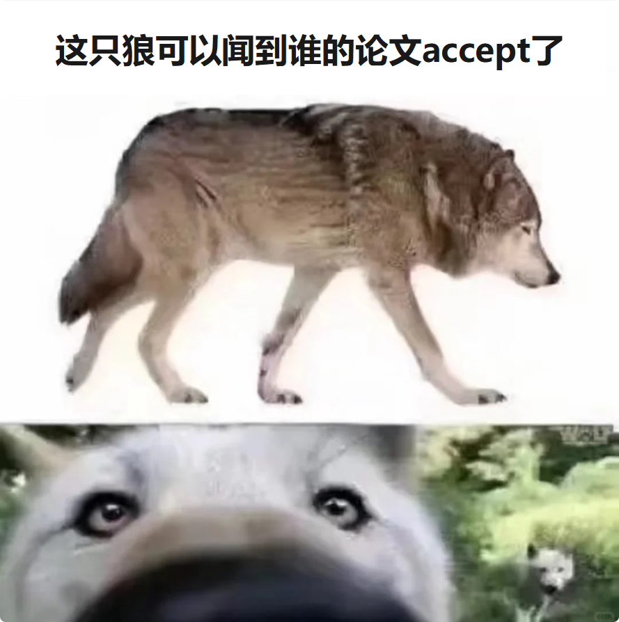 image-20251001195200640