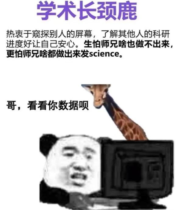 image-20251006160101048