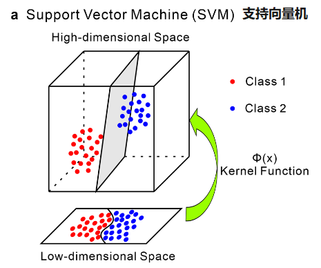 image-20251011201600766