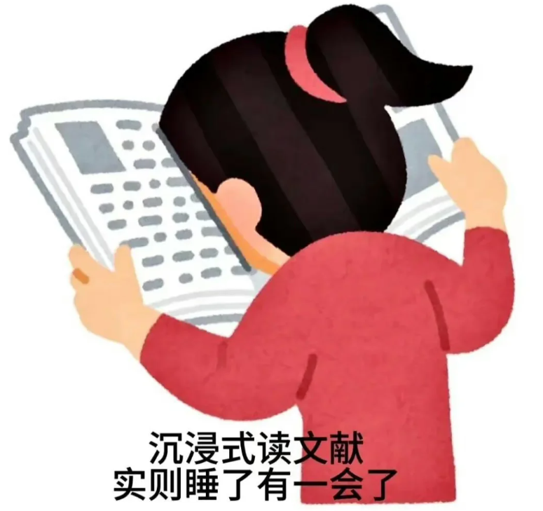 image-20251011203040995