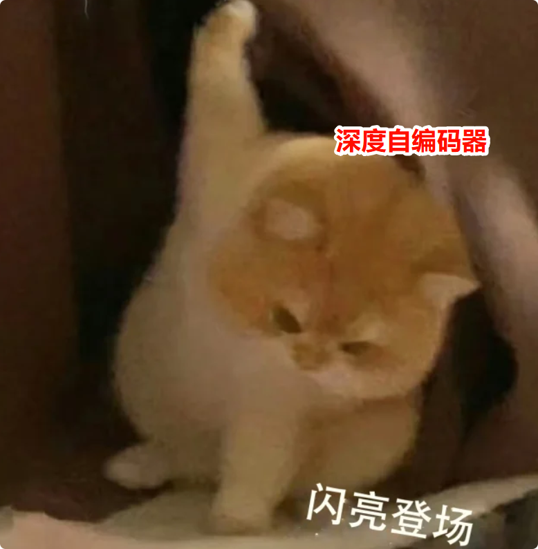 image-20251111192304883