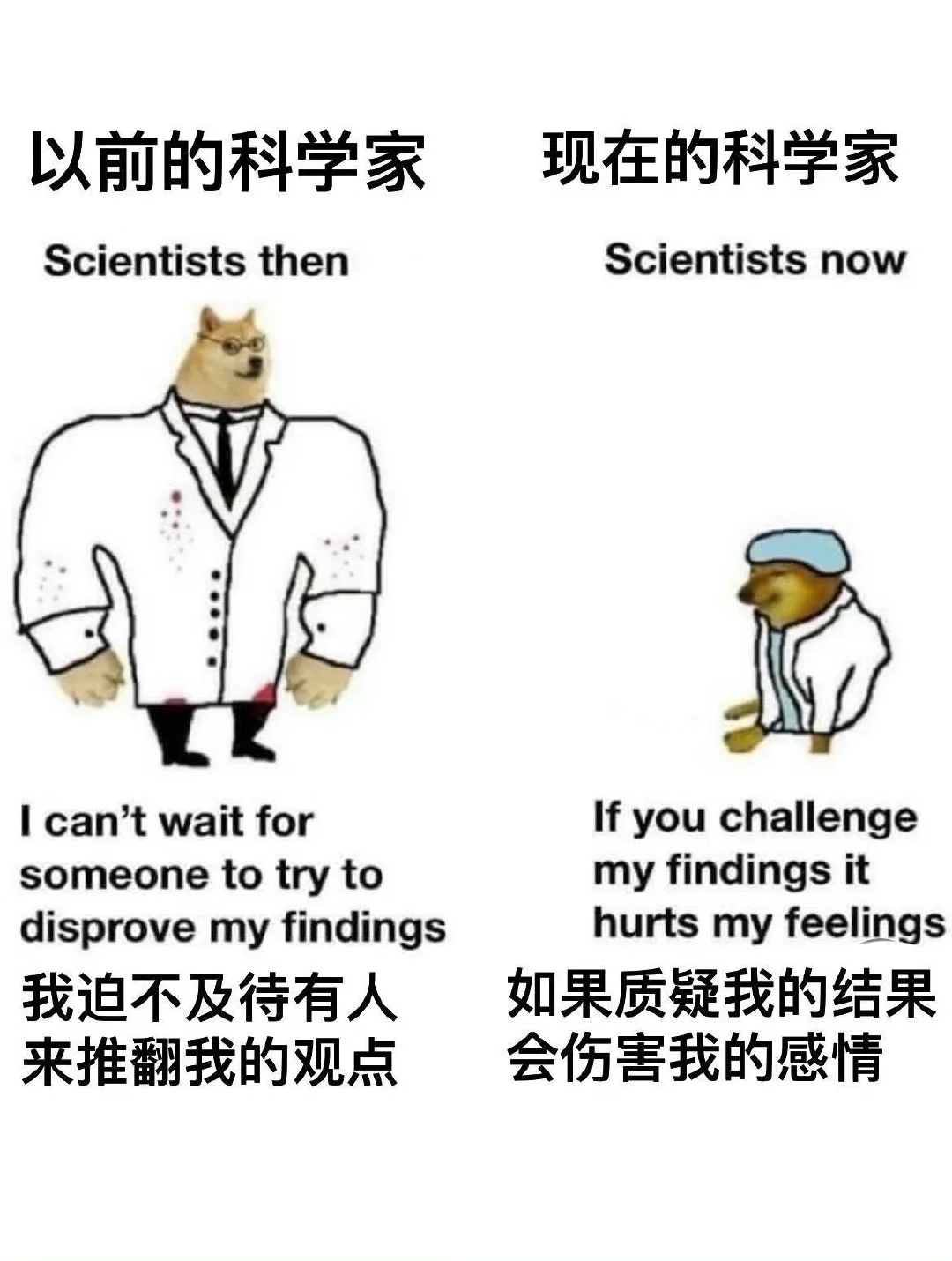 image-20251111195810228